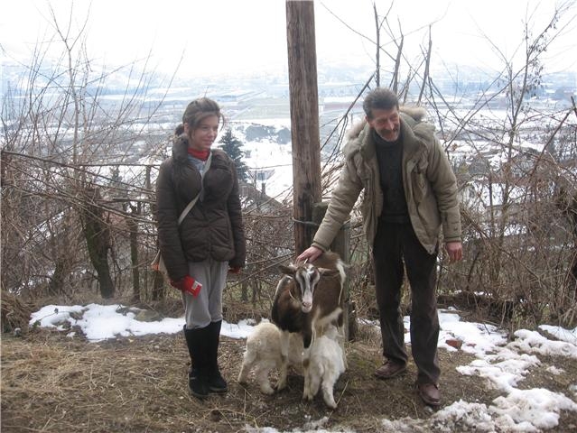 Ismet dobio kozu i dvoje kozlica